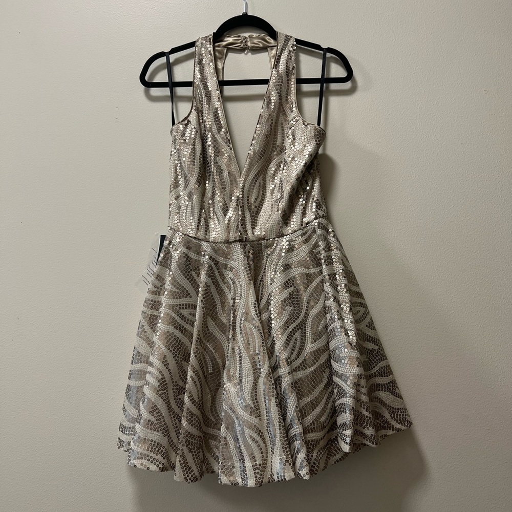 NWT Deep V-neck Sequin Dress